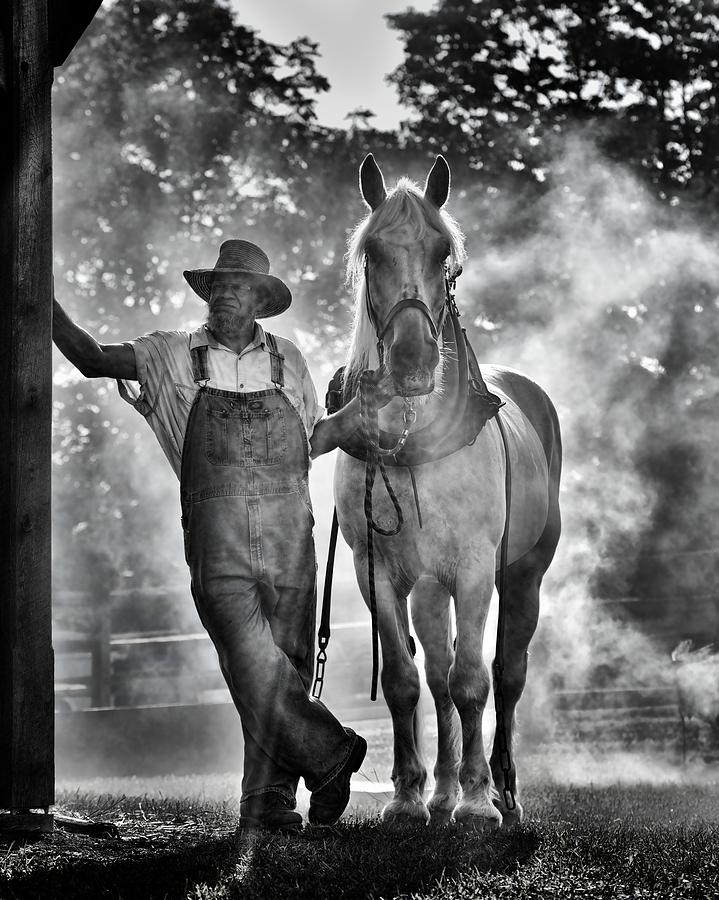 Horse Photograph - Waiting in Late Afternoon Smoke by Don Schroder
