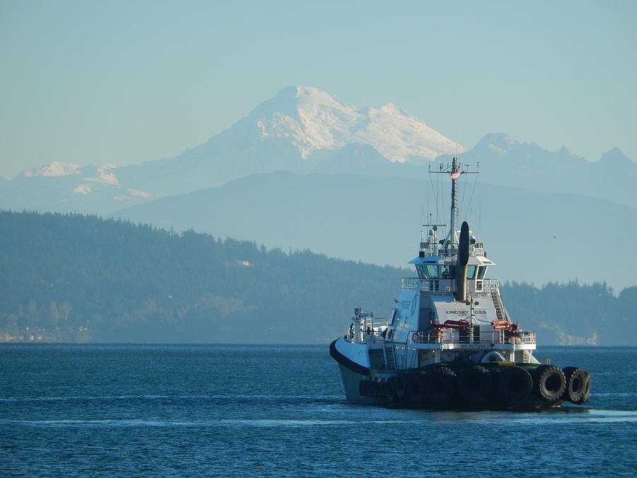 Waiting In Ship Harbor Photograph By Frieda Cron - Fine Art America