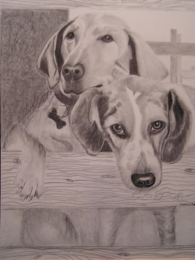 Waiting Drawing by Sharon Schultz
