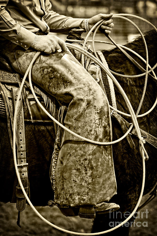 Waiting to Rope Photograph by Lincoln Rogers