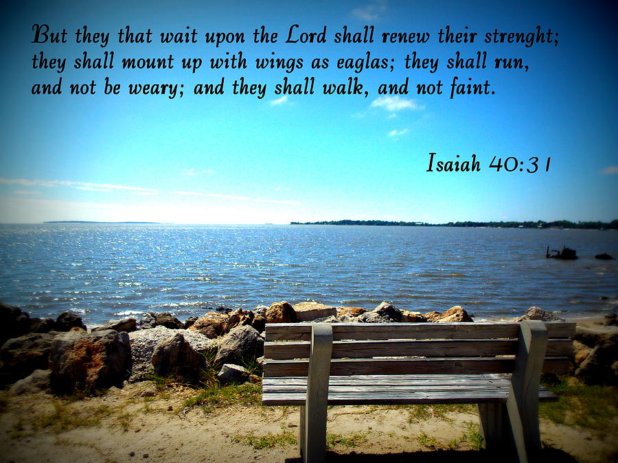 Waiting Upon the Lord Photograph by Sheri McLeroy