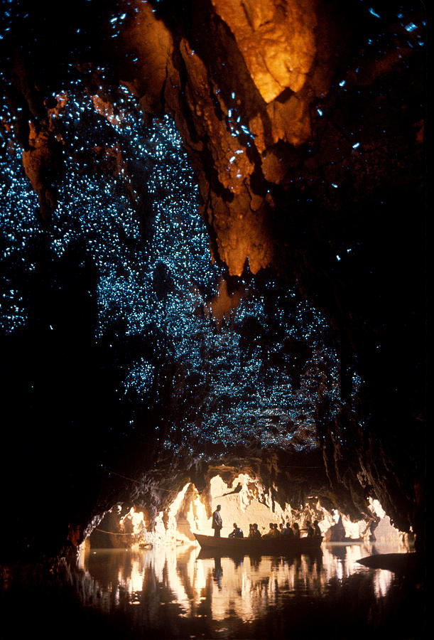 Waitomo Glow Worm Caves Photograph by Brian Brake