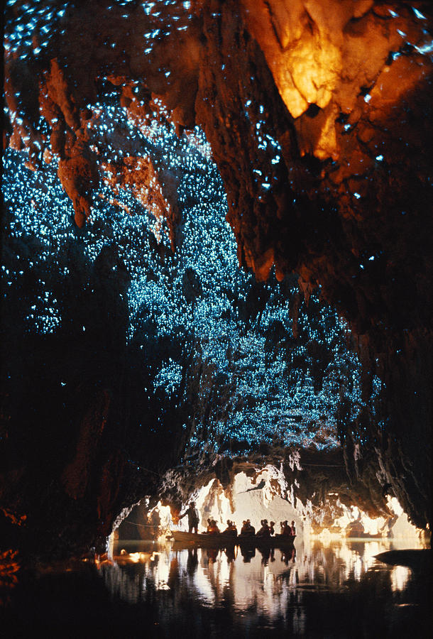 Waitomo Glowworm Caves New Zealand Photograph By Brian Brake Pixels