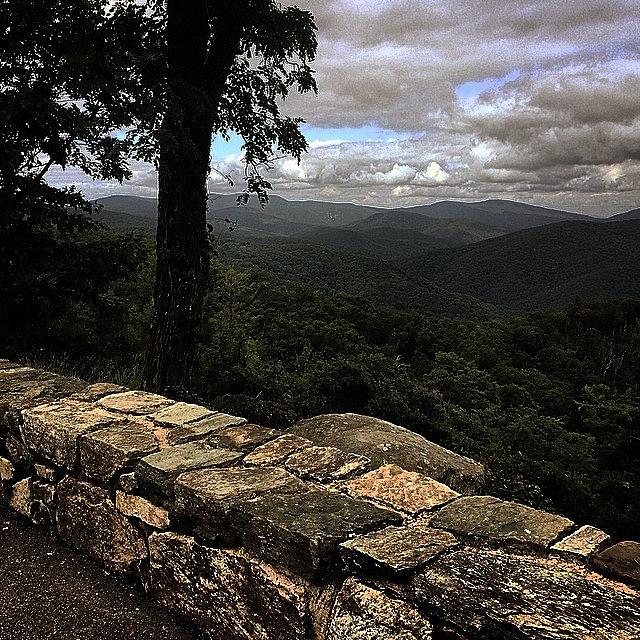 Summer Photograph - Wait.....one More. #skylinedrive by Mike Valletta