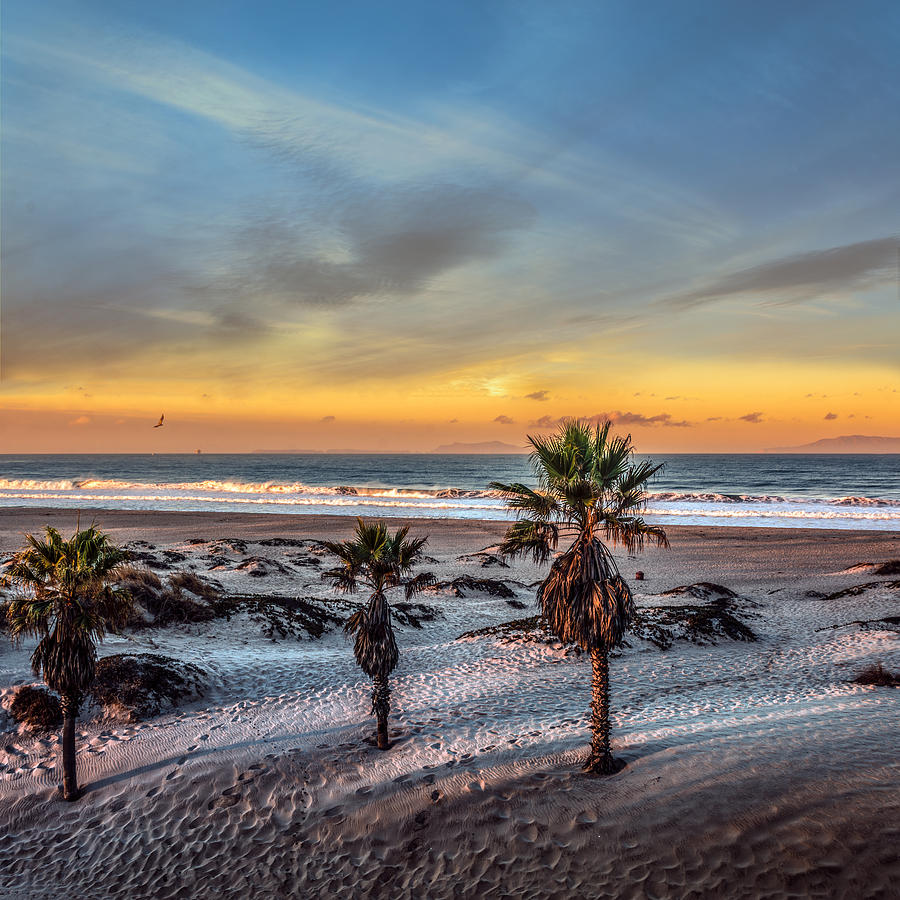 Nature Photograph - Wake up for Sunrise in California by Ludmila Nayvelt