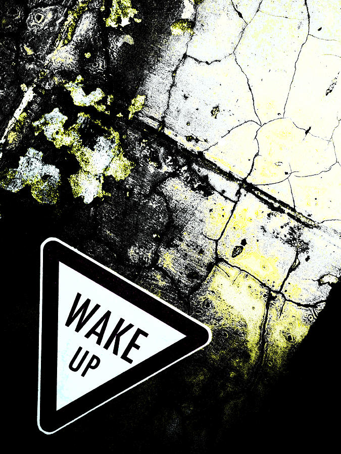 Wake Up Photograph by Steve Taylor