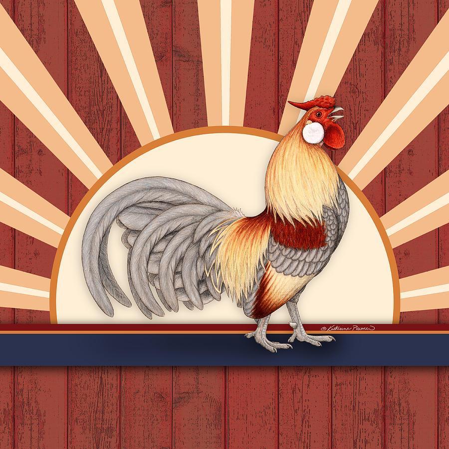 Rooster Drawing - Wakeup Call Square by Katherine Plumer