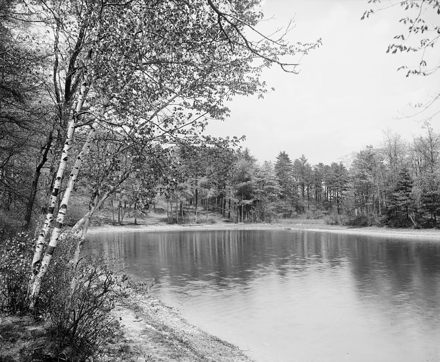 Walden Pond, C1905 Photograph by Granger