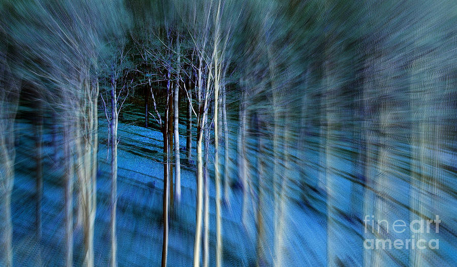 Foto Digital Art - Waldrausch by Vera Laake Foto Digital Art - Waldrausch by Vera Laake
