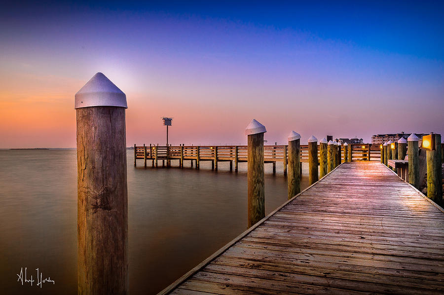 Walk Photograph by Alexander Holden | Fine Art America