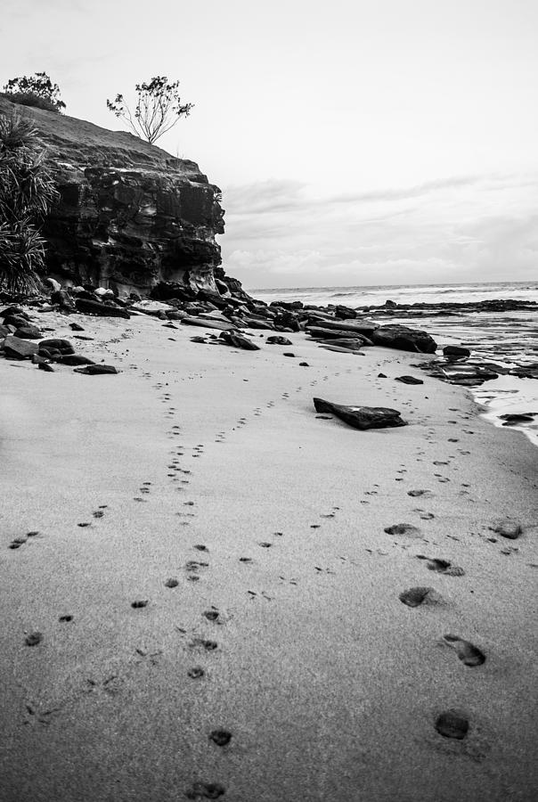 Walk Along The Beach Monochrome Photograph by Parker Cunningham