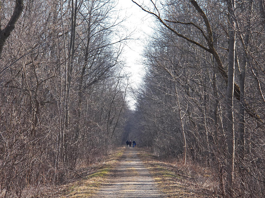 Walk Along the Path Photograph by Corinne Elizabeth Cowherd