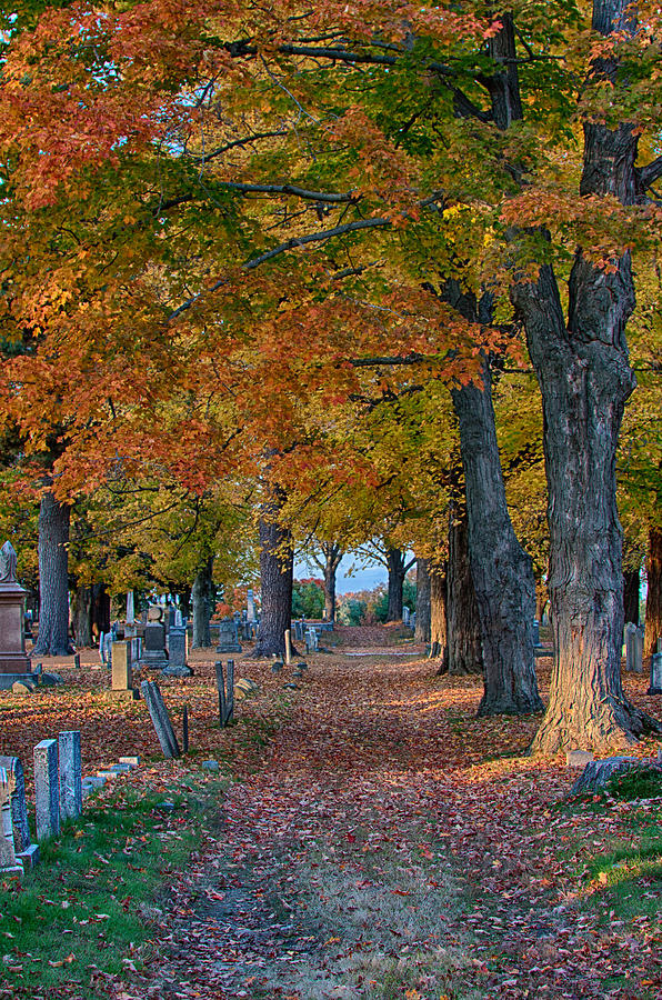 Fall Photograph - Walk along the path by Jeff Folger