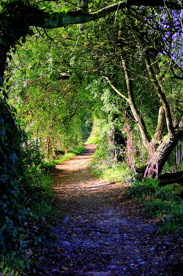 River Photograph - Walk along the river by Peggy Berger River Photograph - Walk along the river by Peggy Berger