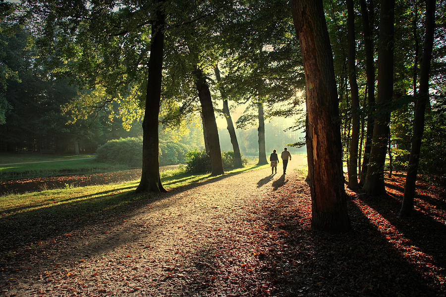 Walk by Annie Snel Walk by Annie Snel