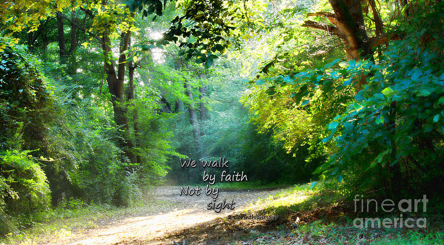 Walk by Faith Photograph by Sandra Clark