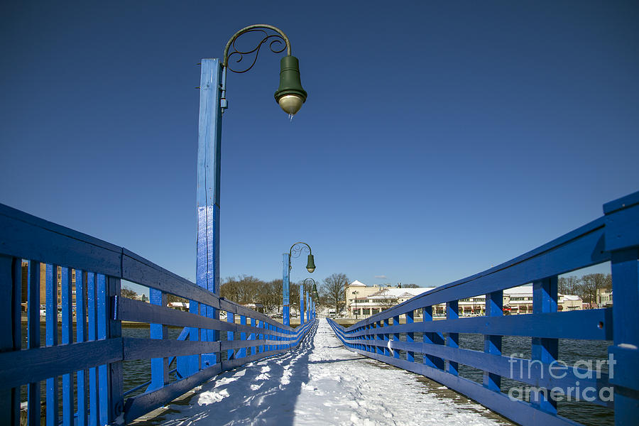 Winter Photograph - Walk In The Blue Light by Evelina Kremsdorf