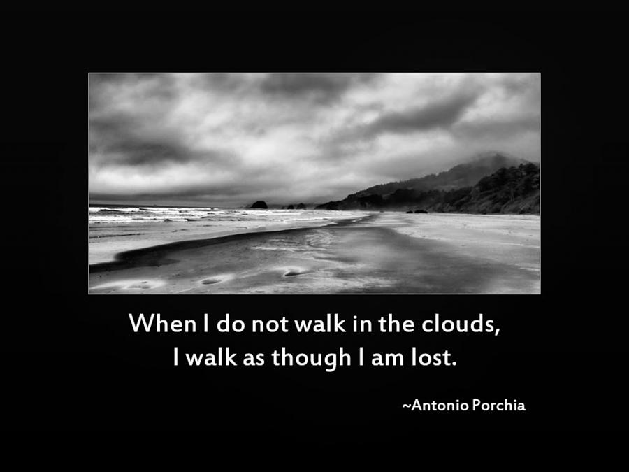 Walk in the Clouds Photograph by Don Schwartz
