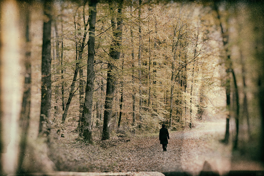 Walk in the forest - nostalgic wetplate effect Photograph by Matthias Hauser