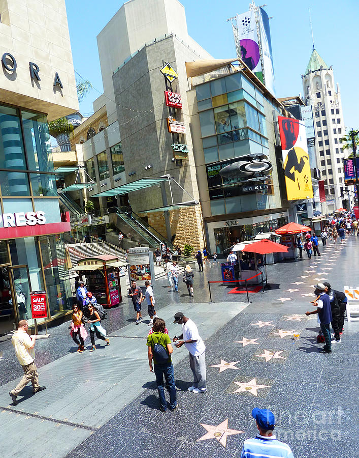 Walk of Fame color Photograph by Cheryl Del Toro