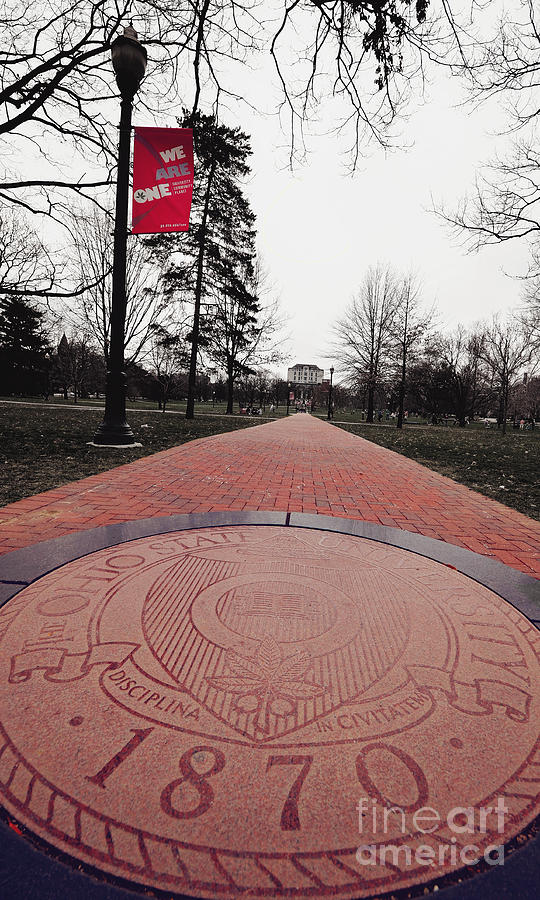 Ohio State University Photograph - Walk on the Oval by Rachel Barrett
