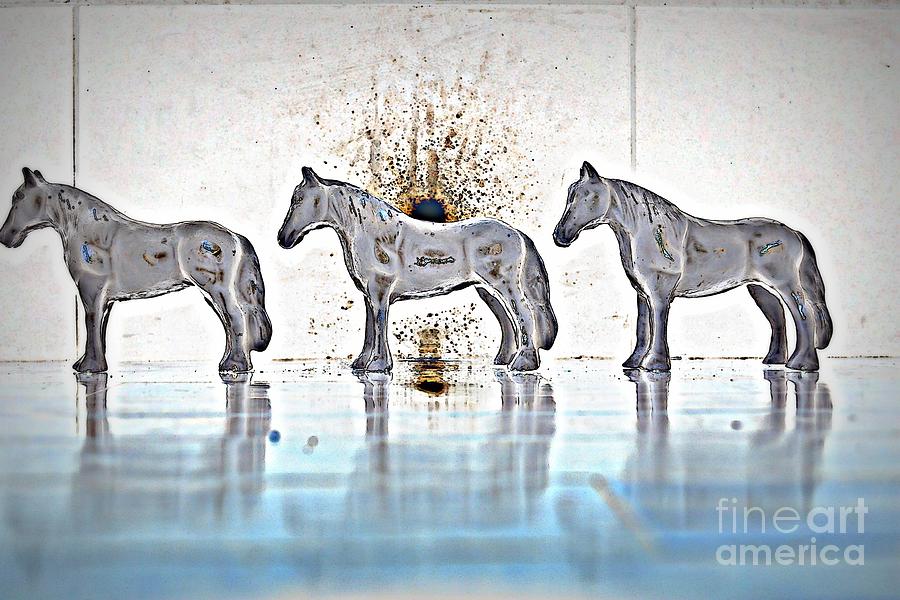 Horse Photograph - Walk On The Water by Diane montana Jansson