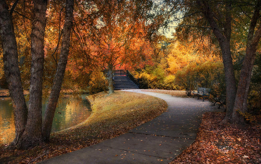 Walk Through Autumn Photograph by Robin-Lee Vieira