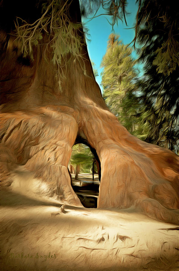 Tree Painting - Walk Through Giant Sequoia Tree by Barbara Snyder