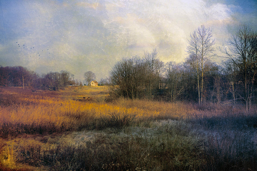 Winter Photograph - Walk through the fields by John Rivera