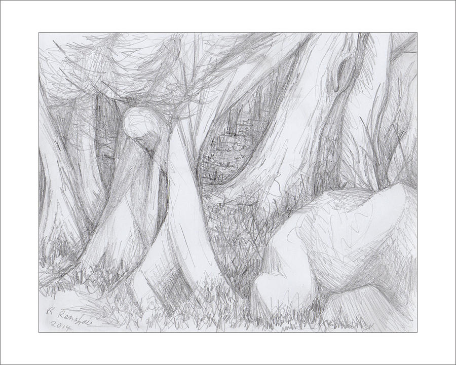 Abstract Drawing - Walk thru the Woods by Ruth Renshaw