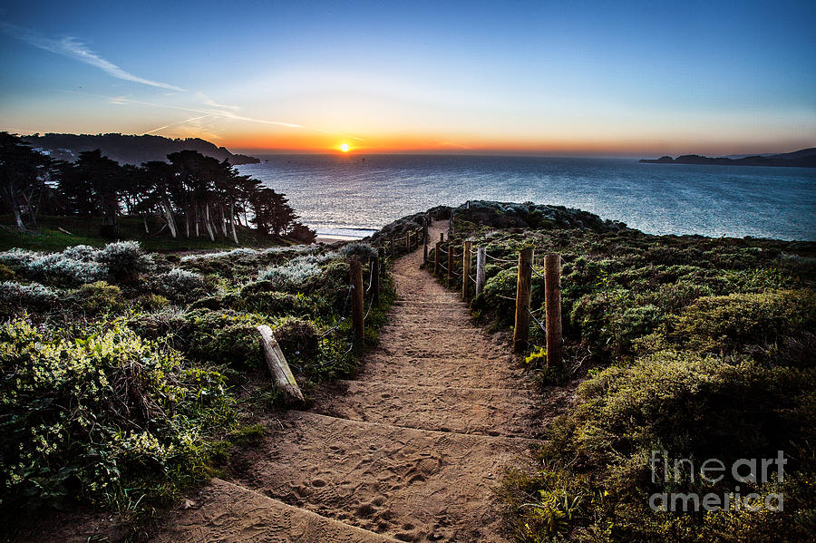 Walk to the Sunset Photograph by Steven Reed