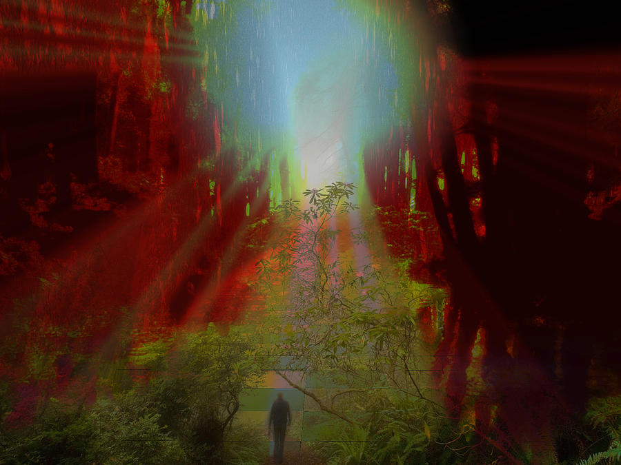 Walk With Nature Digital Art by Mary Clanahan
