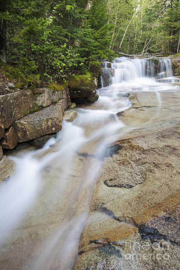 Nature Photograph - Walker Brook Cascades - Franconia Notch State Park New Hampshire by Erin Paul Donovan