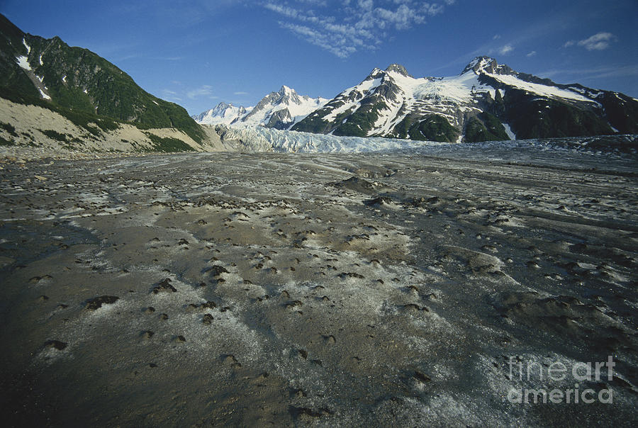 Walker Glacier Photograph by Mark Newman