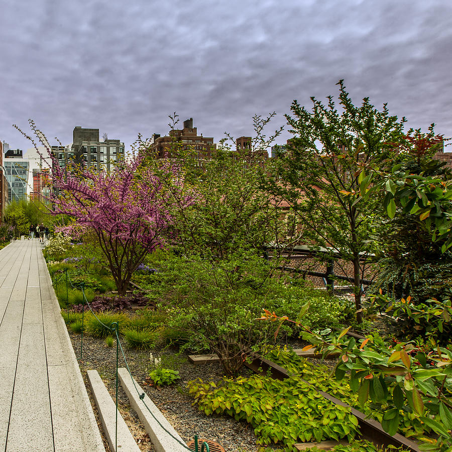 New York City Photograph - Walking along the NY High Line by Dave Hahn