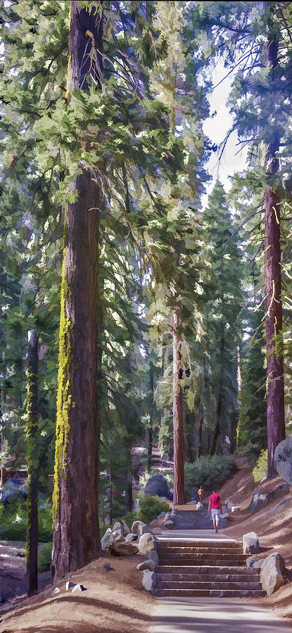 Walking Among Giants Digital Art by Photographic Art by Russel Ray Photos