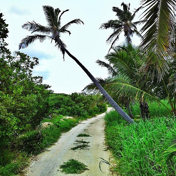 Walking Back To The Beach. South Abaco Photograph by Wally Sears