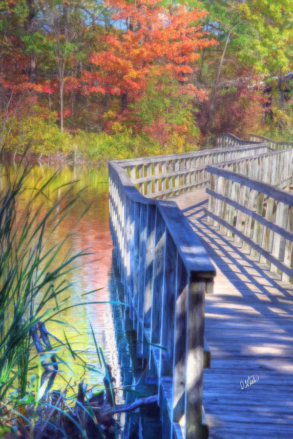 Walking Bridge Painting by Dean Wittle