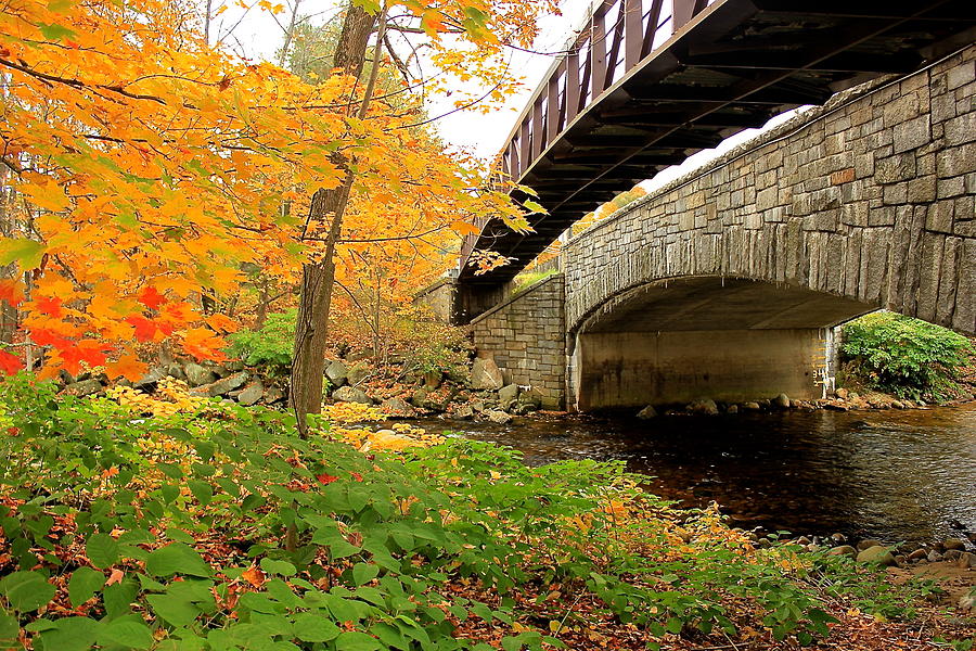 Walking Bridge in Fall Photograph by Amazing Jules