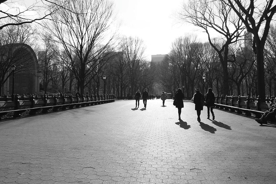 Walking Central Park Photograph by Jewels Hamrick