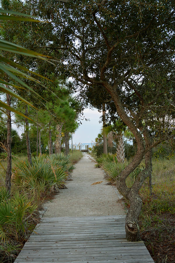 Walking Down to the Beach Photograph by Judy Wanamaker