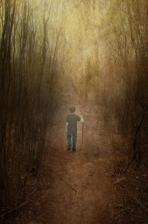 Walking his path Photograph by Carolyn DAlessandro