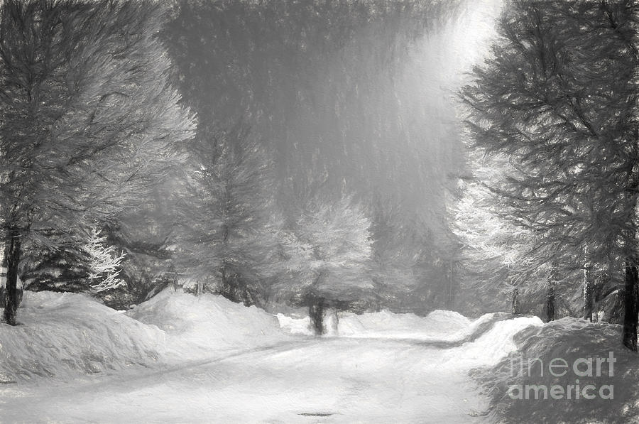 Winter Walk Photograph by Les Palenik
