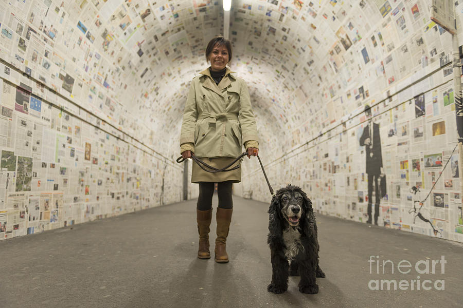 Dog Photograph - Walking in a tunnel by Mats Silvan