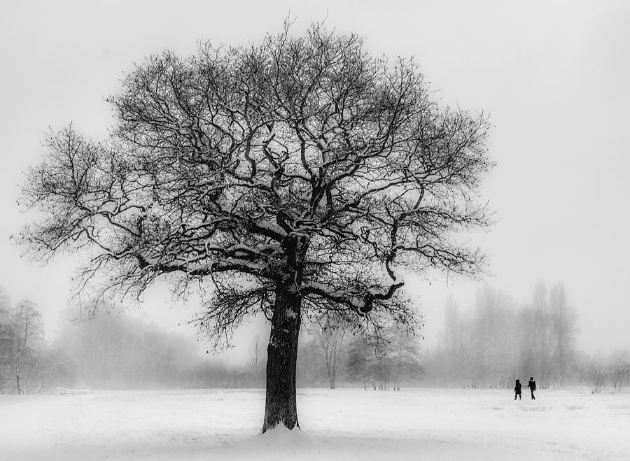 Winter Photograph - Walking in a winter wonderland by Ian Hufton