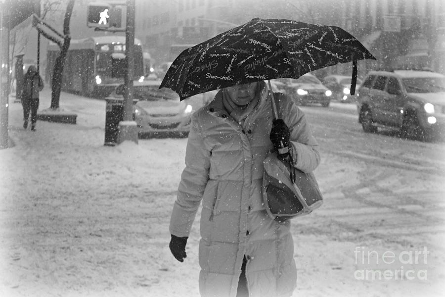 Walking in Snow Photograph by Miriam Danar
