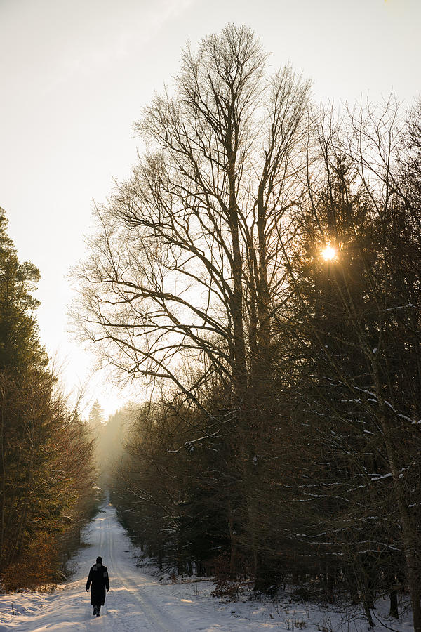 Walking in the forest in winter Photograph by Matthias Hauser