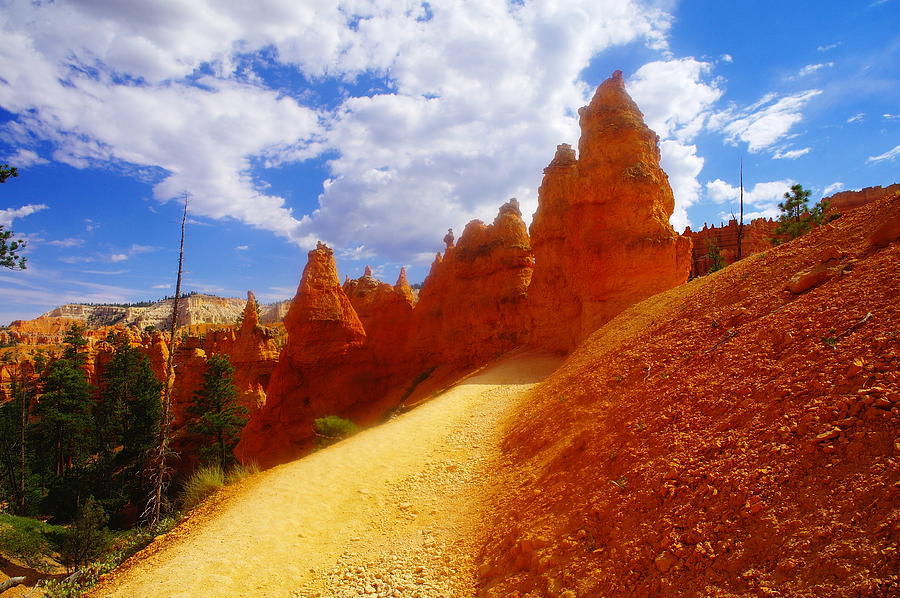 Walking Into Bryce Photograph by Jeff Swan