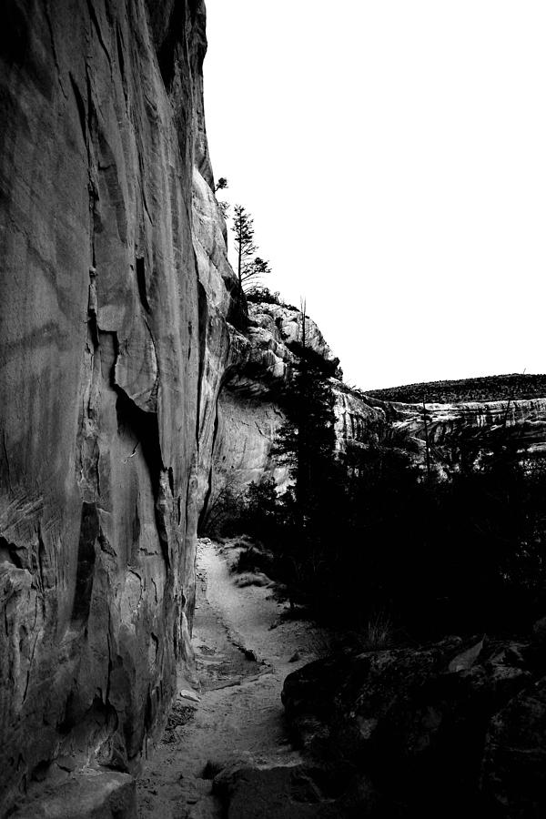 Desert Photograph - Walking Into Sipupu Canyon Black And White by Jeff Swan