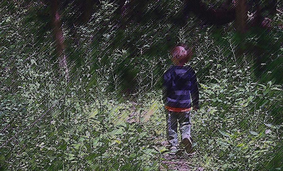 Boy Walking Into the Woods Photograph by Ellen Tully